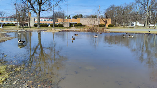 Severance Town Center image 8