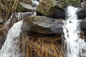 Elaneeru Falls image