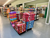 Animalia Pet Supplies: Garden Grove - Photo 9 - Car repair in Garden Grove, CA, Long Beach