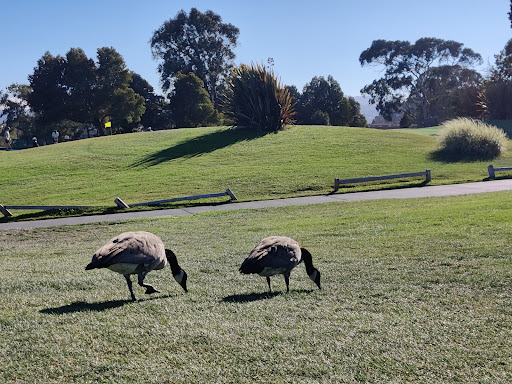 Golf Course «Poplar Creek Golf Course», reviews and photos, 1700 Coyote Point Dr, San Mateo, CA 94401, USA