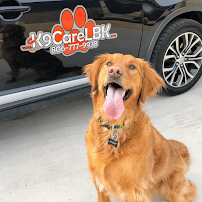 K9CareLBK - Car repair in Lubbock, TX, Lubbock - Rated 4.6/5