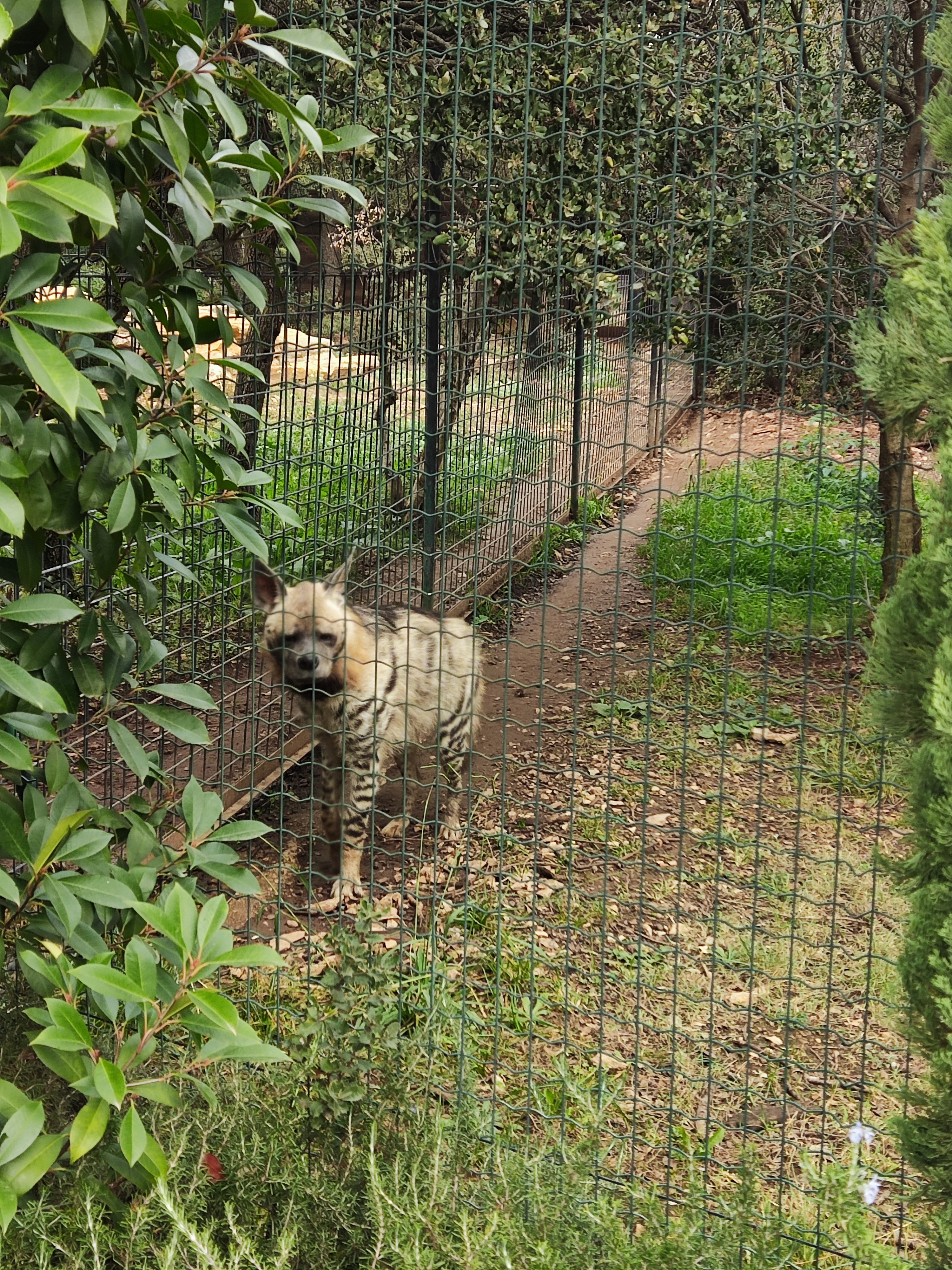 Photo n° 4 de l'avis de Mehdi.a fait le 26/10/2023 à 17:40
