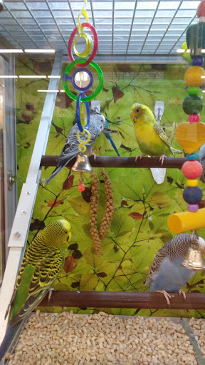 Pet Store «PetSmart», reviews and photos, 3152 Phoenix Center Dr, Washington, MO 63090, USA