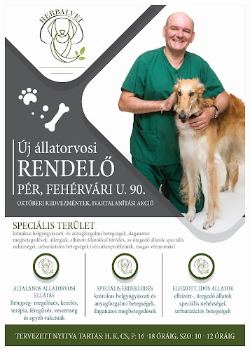 Értékelések erről a helyről: HerbalVet állatorvosi rendelő, Pér - Állatorvos