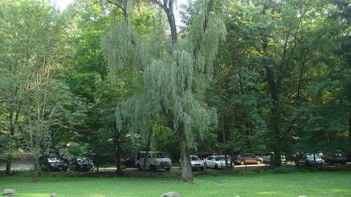 Nature Preserve «The New Weis Center for Education, Arts & Recreation», reviews and photos, 150 Snake Den Rd, Ringwood, NJ 07456, USA