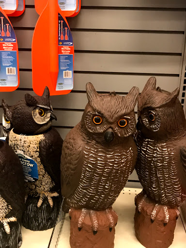 Sporting Goods Store «Bass Pro Shops», reviews and photos, 10501 Palm River Rd, Tampa, FL 33619, USA