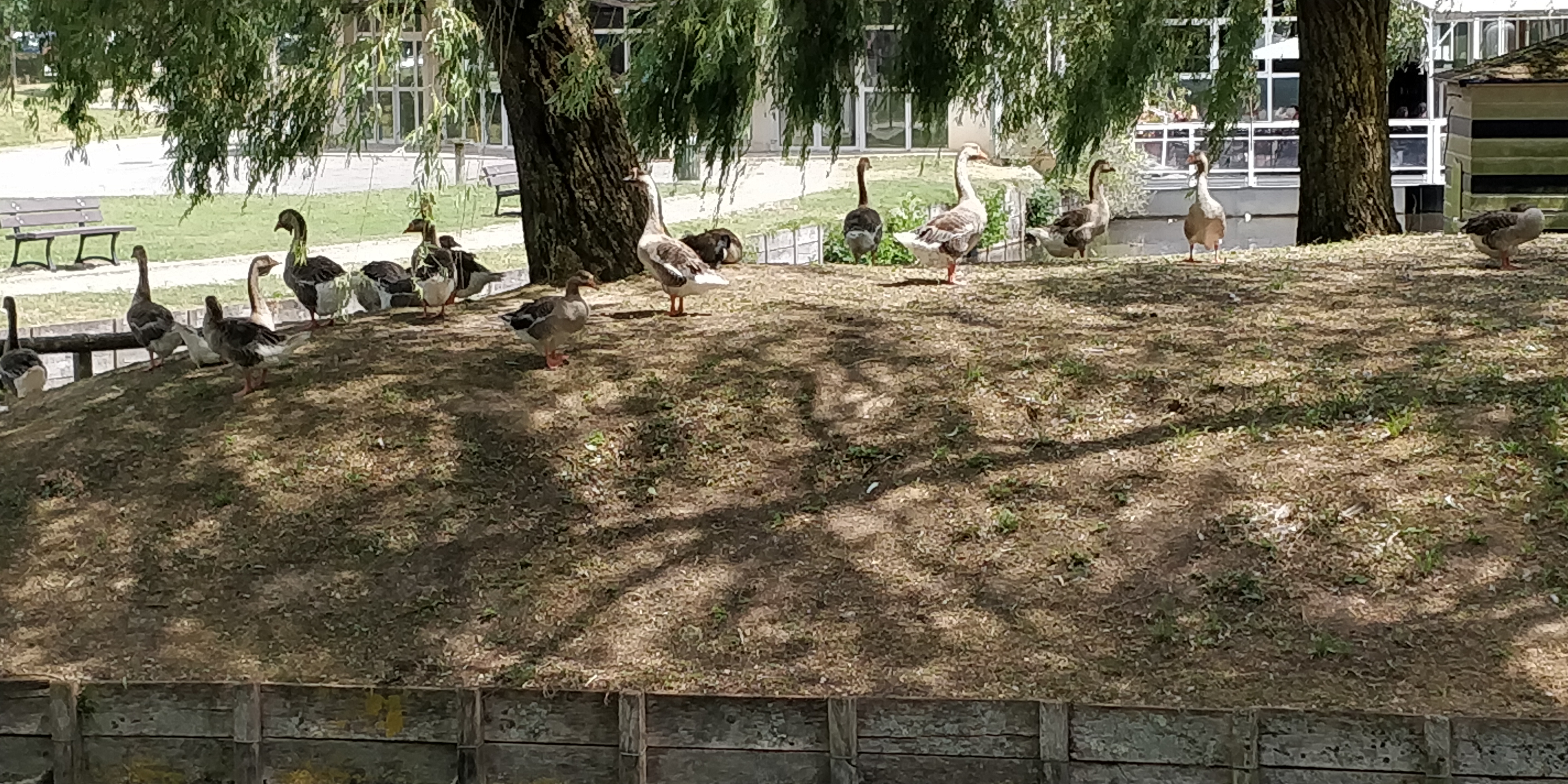 Photo n° 12 de l'avis de Malik.� fait le 01/07/2018 à 08:19