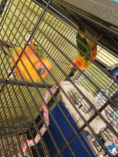 Pet Supply Store «Pet Food Center», reviews and photos, 4036 N First Ave, Evansville, IN 47710, USA