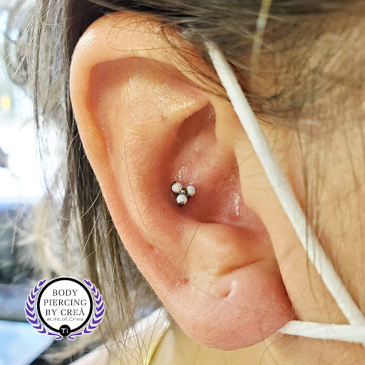 Explore tattoo ideas vines, creative tattoo ideas in Sarasota, available at Z-Edge Tattoo and Body Piercing North Shop