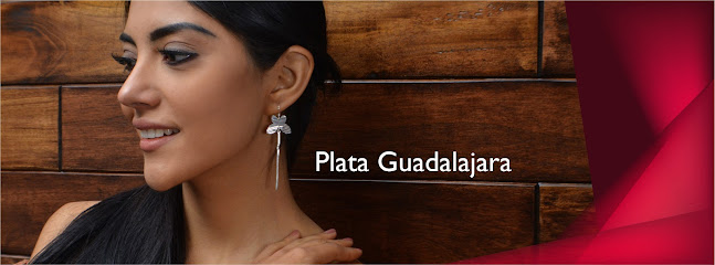 Plata Guadalajara portada