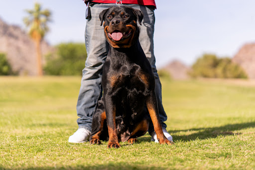 Park «Granada Park», reviews and photos, 6505 N 20th St, Phoenix, AZ 85016, USA