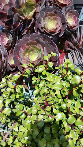 Car Wash «Foster City Touchless Car Wash», reviews and photos, 390 Foster City Blvd, Foster City, CA 94404, USA