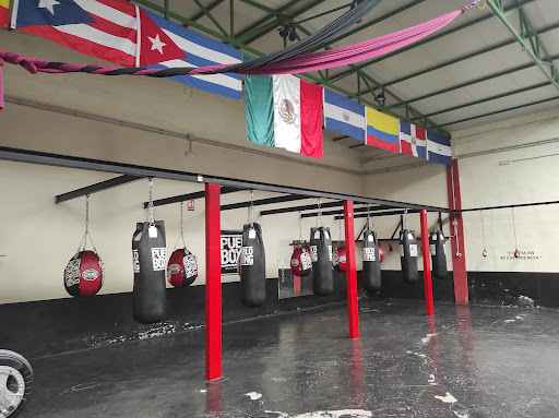 Pueblo Boxing España en León, León