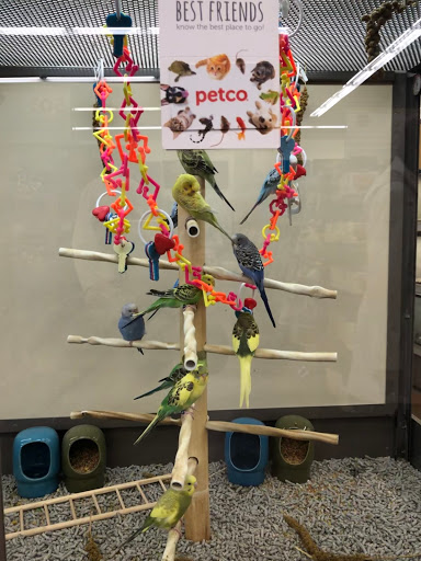 Pet Supply Store «Petco Animal Supplies», reviews and photos, 3975 Cascades Blvd #30, Kent, OH 44240, USA