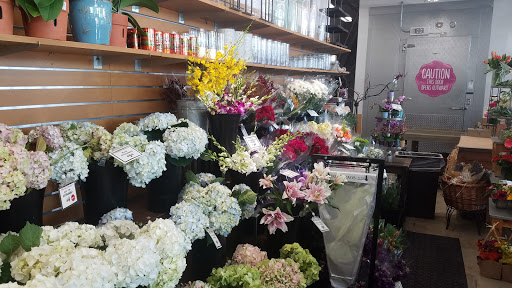 Gourmet Grocery Store «Central Market», reviews and photos, 10720 Preston Rd #1018, Dallas, TX 75230, USA