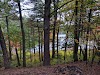 Stony Brook Conservation Land