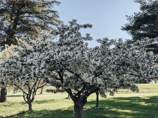 Park «Water Works Park», reviews and photos, 2201 George Flagg Pkwy, Des Moines, IA 50321, USA