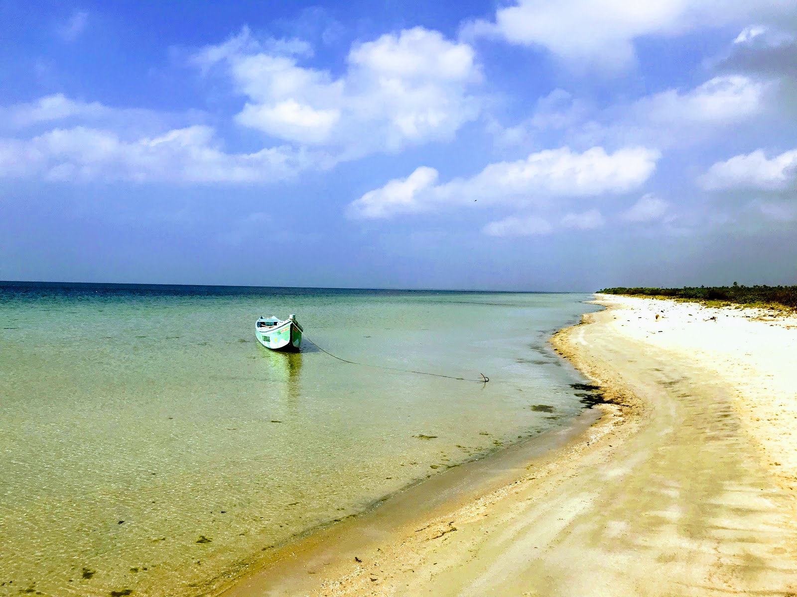 Foto van Kallady Beach met recht en lang