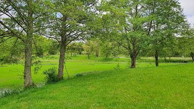 Lac de Palazat à Dégagnac