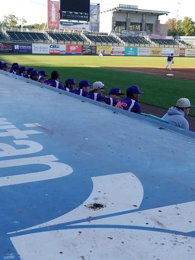 Stadium «Palisades Credit Union Park», reviews and photos