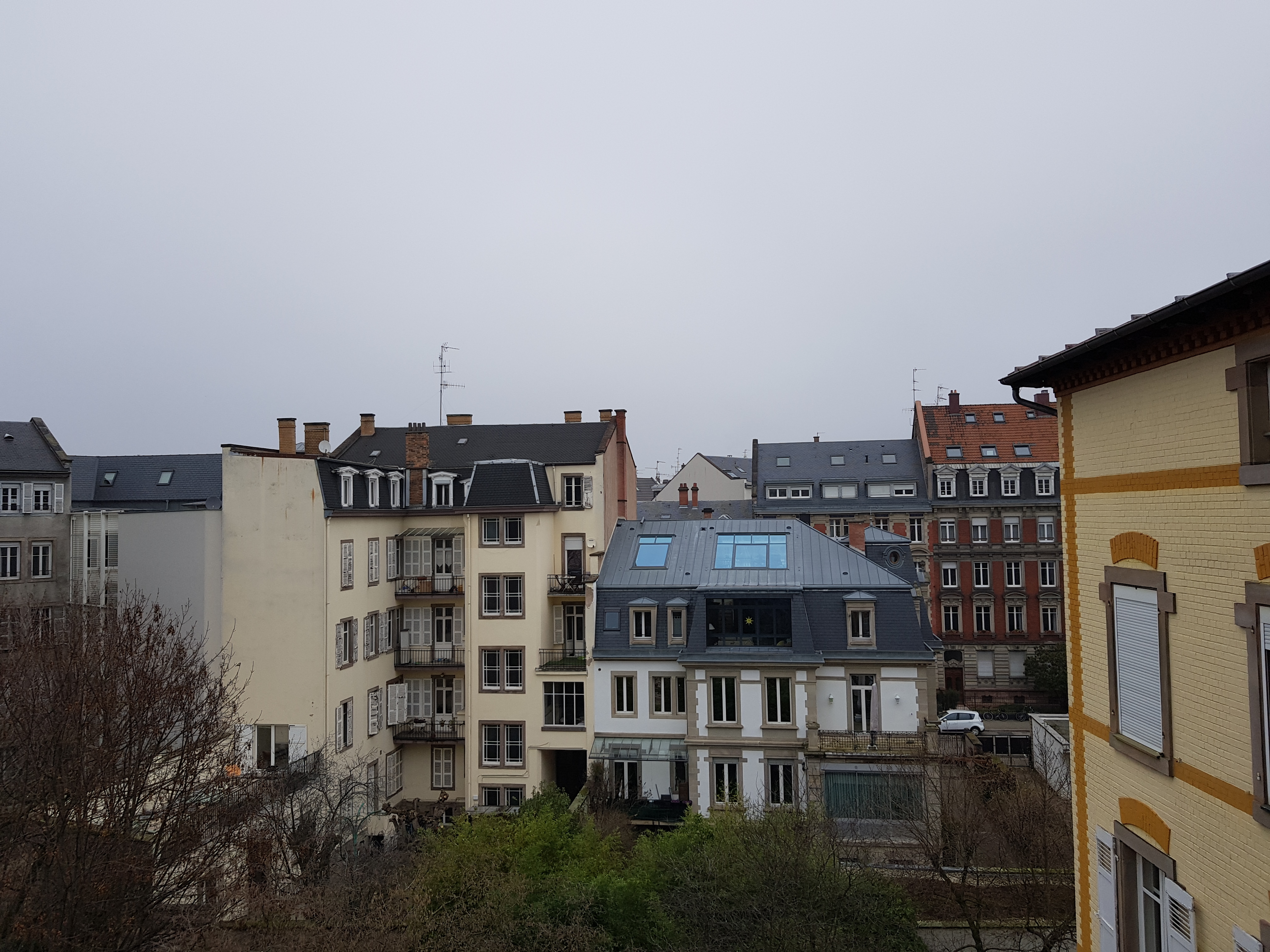 Photo n° 5 de l'avis de asil. fait le 30/12/2019 à 14:44