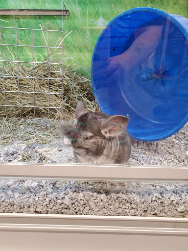 Pet Store «PetSmart», reviews and photos, 14903 4th Ave SW Ste 200, Burien, WA 98166, USA