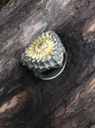 Jewelry Store «WAX Jewelry Design Studio», reviews and photos, 5901 Ellsworth Ave, Pittsburgh, PA 15232, USA