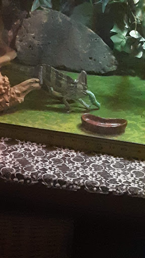 Pet Supply Store «PetSmart», reviews and photos, 207 S Truman Blvd, Crystal City, MO 63019, USA