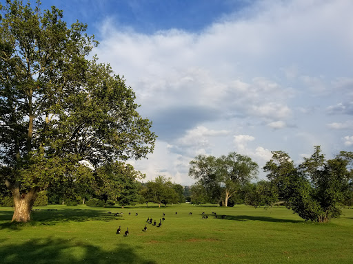 Golf Course «Newman Municipal Golf Course», reviews and photos, 10 Pier Rd, Ithaca, NY 14850, USA