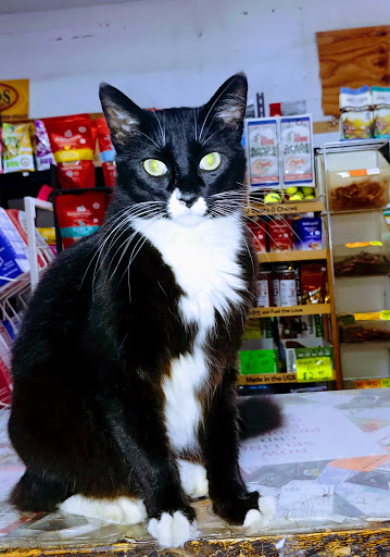 Pet Supply Store «Park Feed Store & Pet Supply», reviews and photos, 5775 Park Blvd N, Pinellas Park, FL 33781, USA