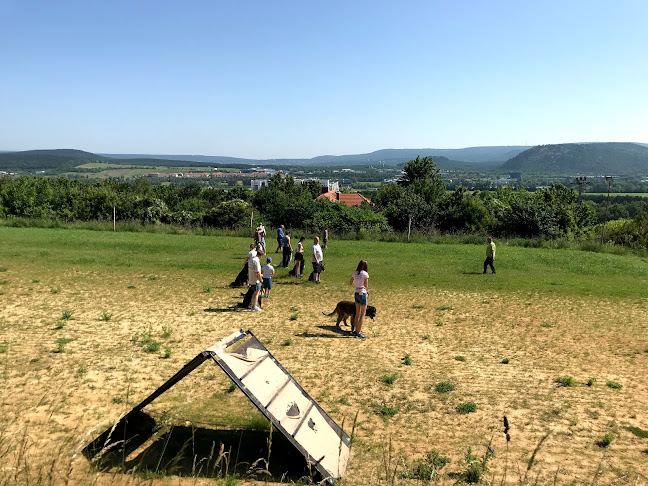 Telefonszám: Törökbálinti Kutyaiskola
