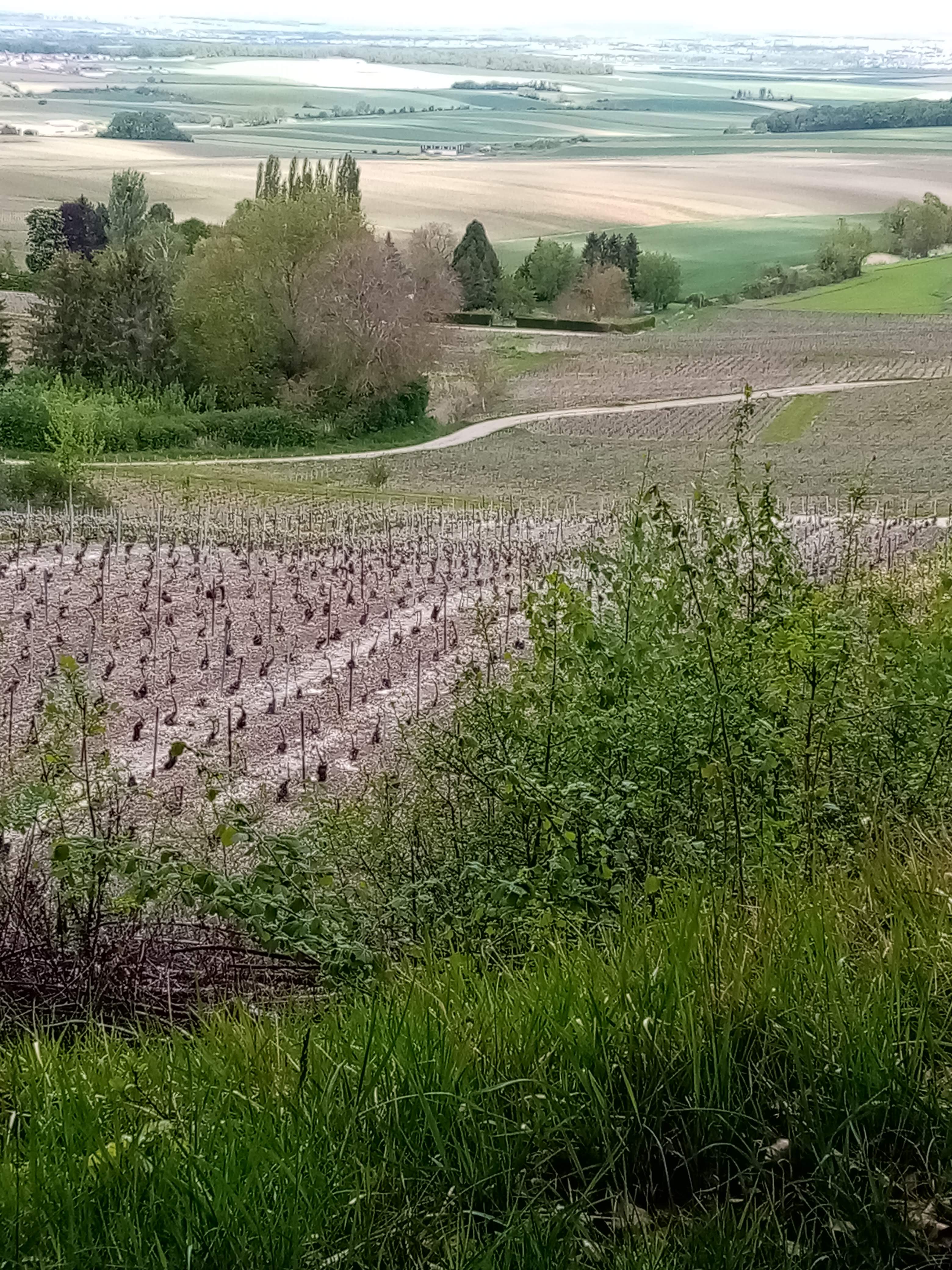 Photo n° 2 de l'avis de Karine.e fait le 14/05/2021 à 19:47