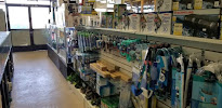 Wow Fish and Pet ( Aquarium ) - Photo 1 - Car repair in Hesperia, CA, Victorville