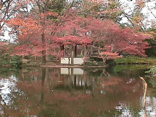 Park «Fort Worth Water Gardens», reviews and photos, 1502 Commerce St, Fort Worth, TX 76102, USA