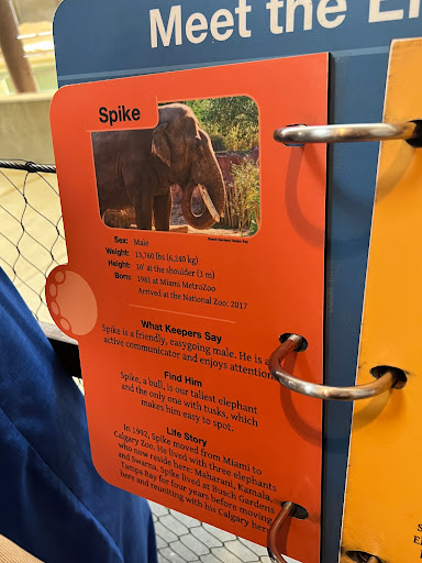 Tourist Attraction «Elephant Trails», reviews and photos, 3001 Connecticut Ave NW, Washington, DC 20008, USA