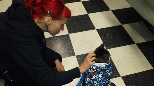 Pet Supply Store «Pet Pros Hillsboro», reviews and photos, 7290 NE Butler St, Hillsboro, OR 97124, USA