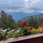 Photo n°41 de l'avis de elisa.i fait le 08/09/2022 à 12:44 sur le  Hotel Falzeben à Hafling