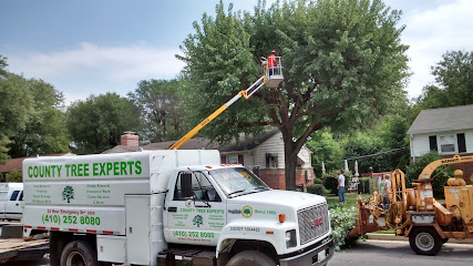 County Tree Experts