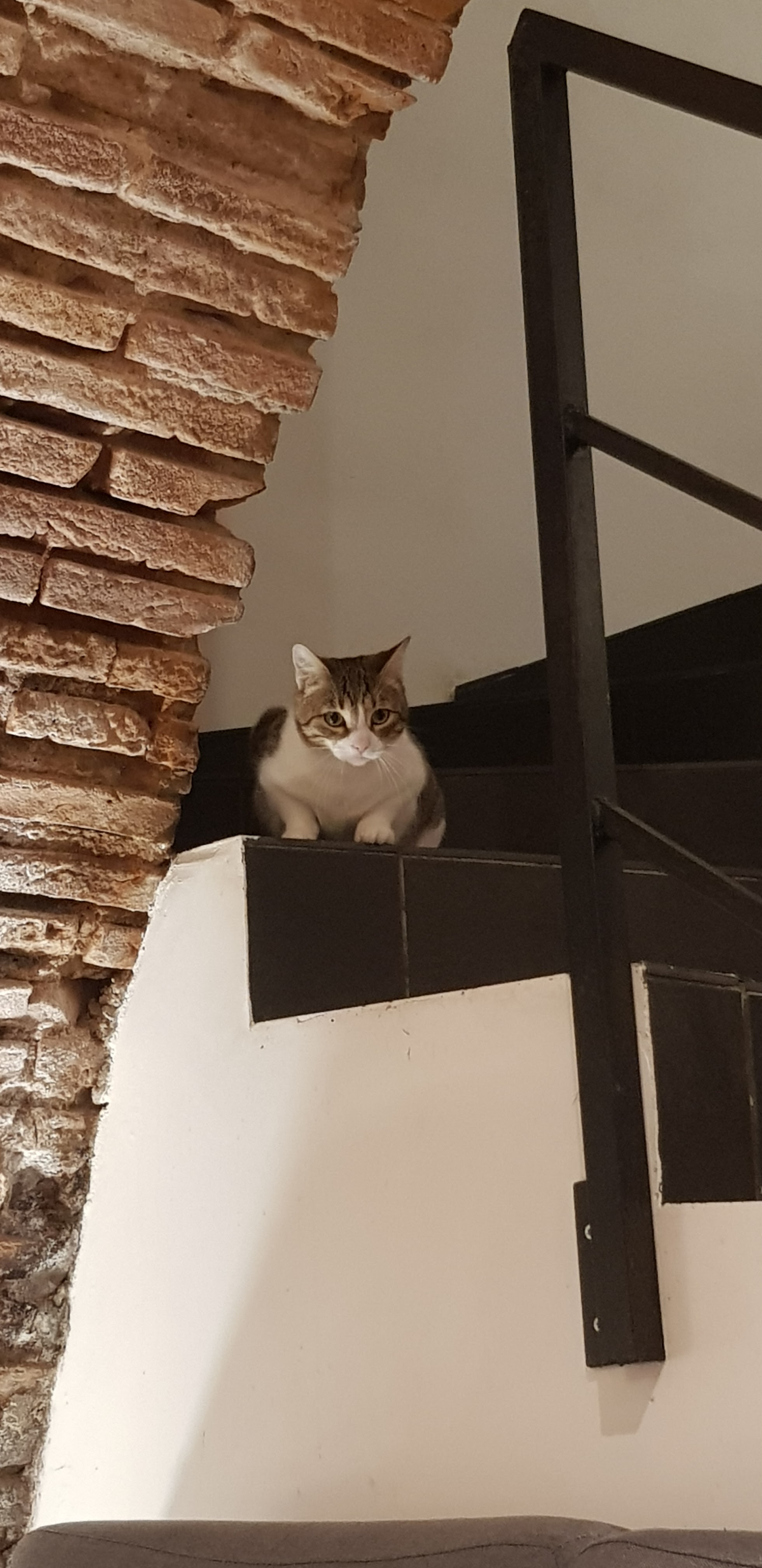 Photo n° 1 de l'avis de Jolène.h fait le 24/10/2018 à 09:40