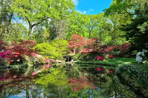 Exbury Gardens & Steam Railway image