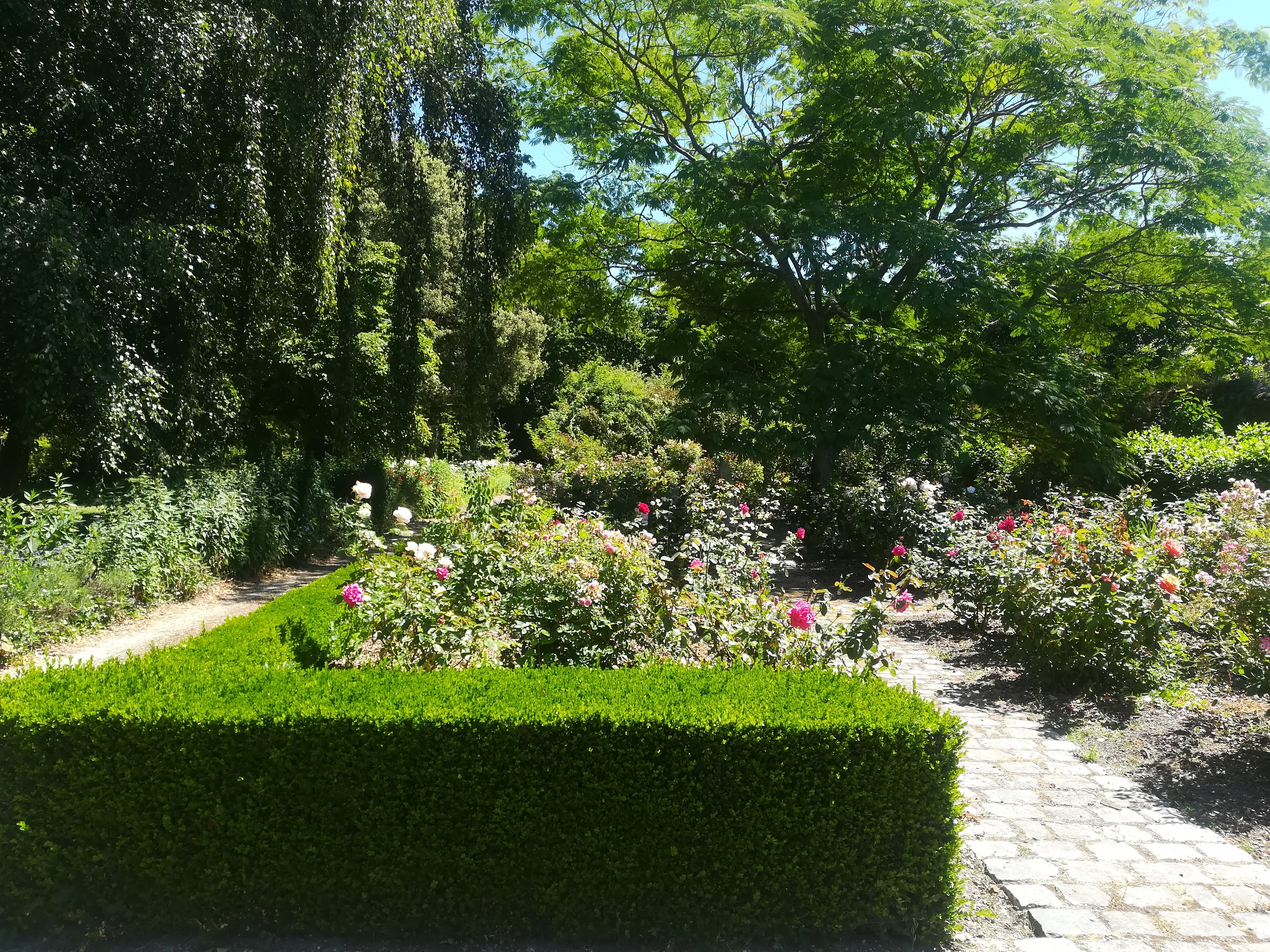 Photo n° 2 de l'avis de Dolores.a fait le 31/07/2018 à 09:11