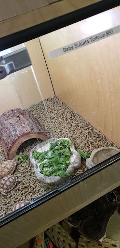 Pet Supply Store «Melis Granero Pet Shop Feed&Supply», reviews and photos, 224 E Foothill Blvd, Rialto, CA 92376, USA