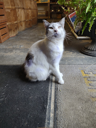 Pet Supply Store «Stillwater Feeds Inc», reviews and photos, 1432 Kiantone Rd, Jamestown, NY 14701, USA