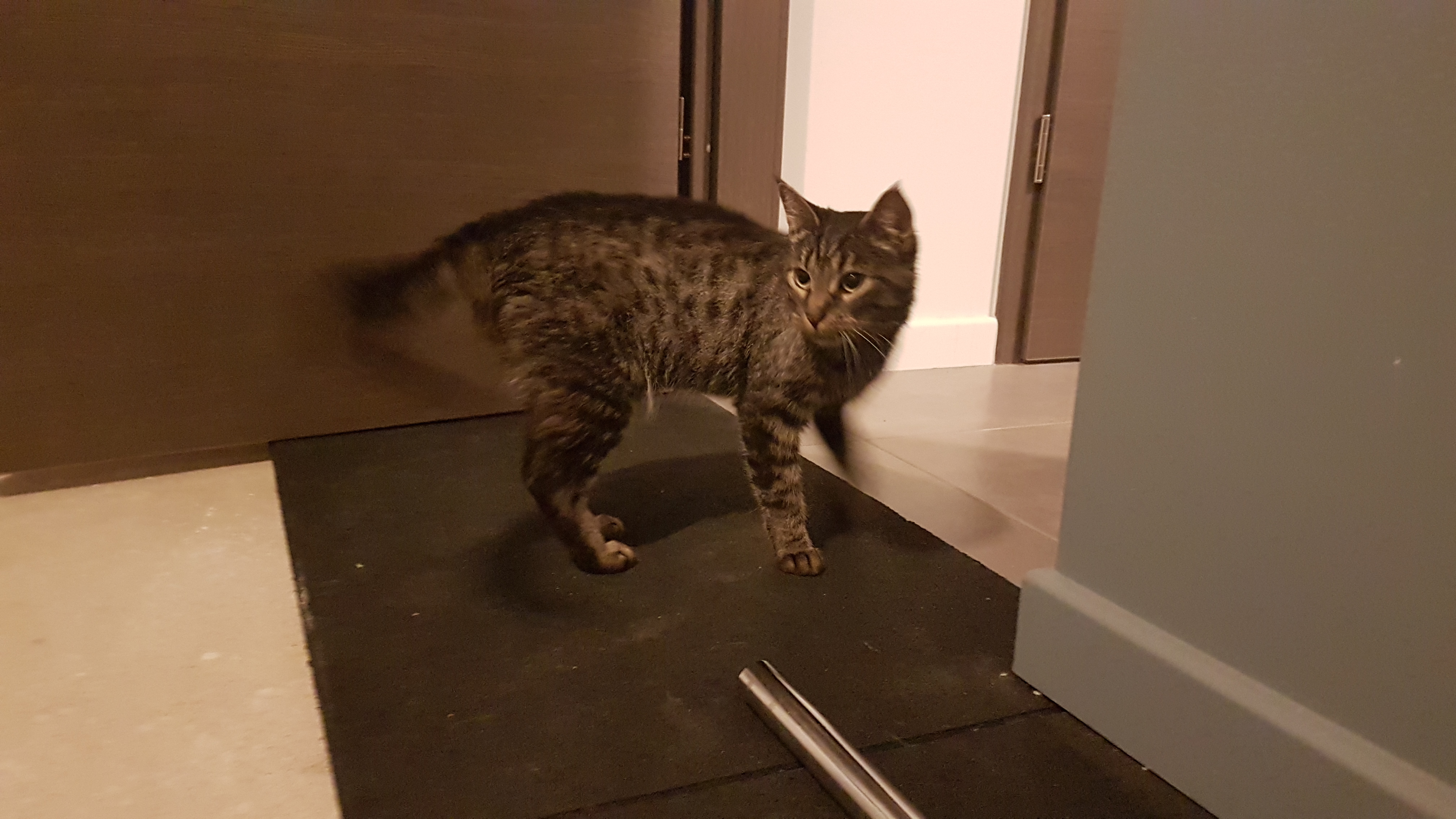 Photo n° 2 de l'avis de damien.o fait le 23/09/2019 à 08:09