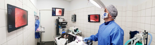 Centro Veterinario Vital Pets en Huelva