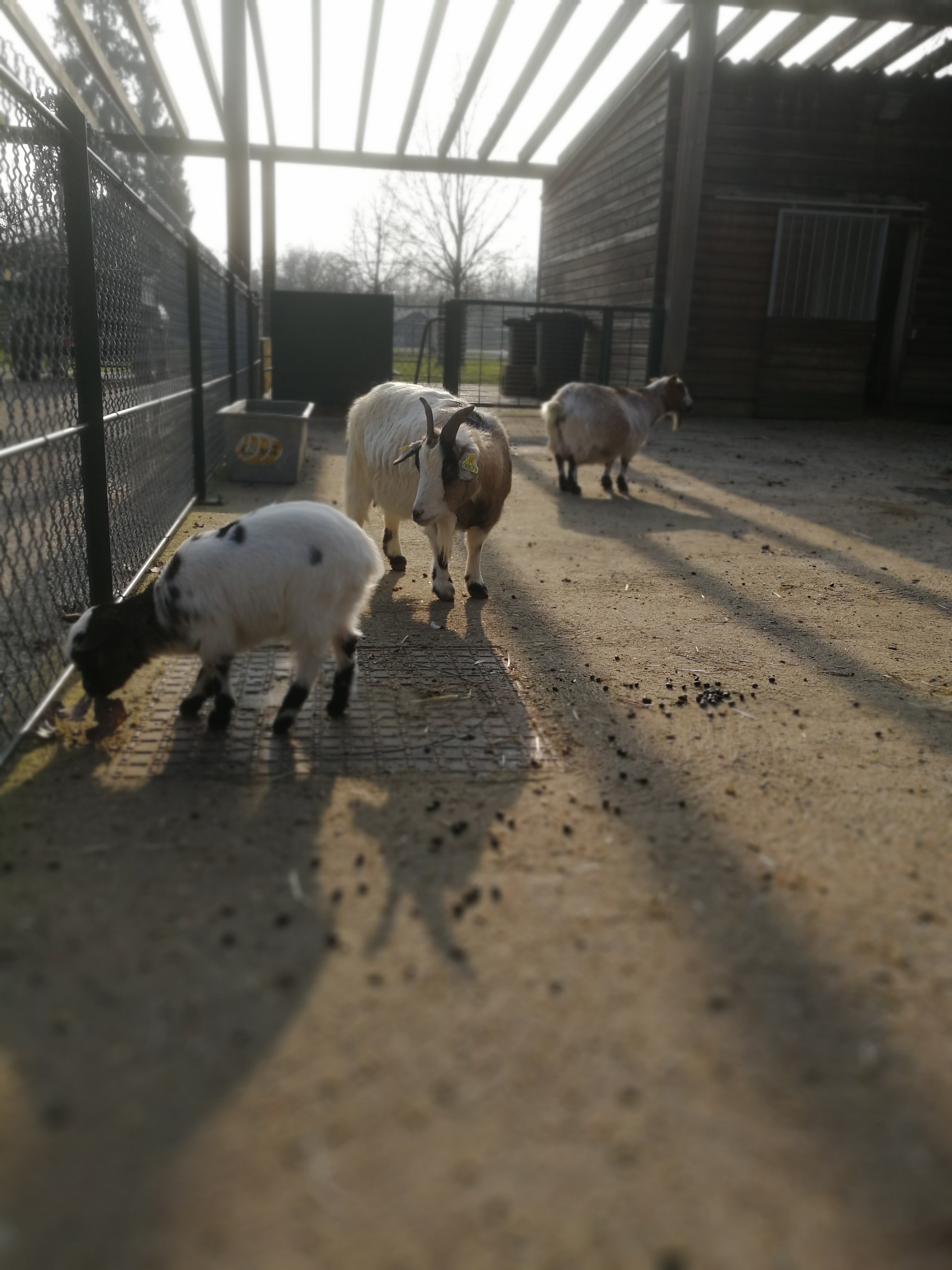 Photo n° 8 de l'avis de Vincent.t fait le 24/02/2018 à 15:49