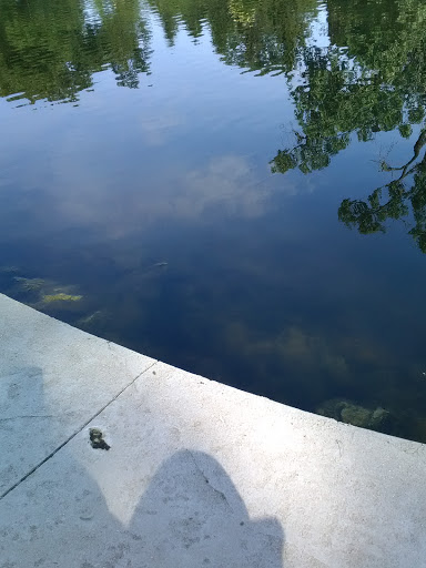 Zoo «Miller Park Zoo», reviews and photos, 1020 S Morris Ave, Bloomington, IL 61701, USA