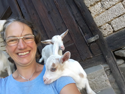 Tierarztpraxis Breidbach unter Grävenwiesbach, Hessen