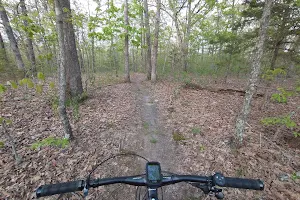 Forest City Mountain Bike Trail image