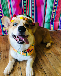 Hounds Town - Dumbo - Photo 7 - Car repair in Brooklyn, NY, New York